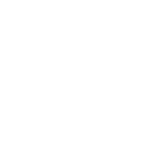 2024中国品牌价值500强：湾区品牌崛起，区域贡献显著