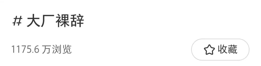 裸辞大厂人,集体奔向小红书做“离职博主” 裸辞大厂人,集体奔向小红书做“离职博主”