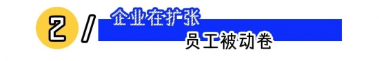 从品牌冲突看员工体验与客户满意度的平衡之道