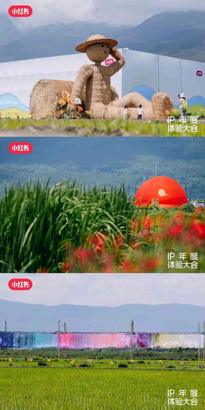 小红书慢人节爆火背后，IP营销如何从创意走向生意
