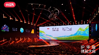 小红书慢人节爆火背后，IP营销如何从创意走向生意