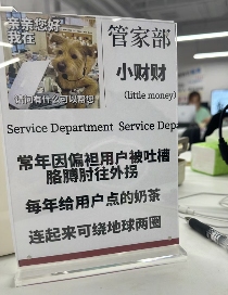 工位文学火爆小红书 打工人创意表达职场情绪