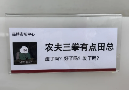 工位文学火爆小红书 打工人创意表达职场情绪