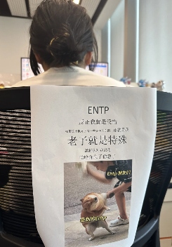工位文学火爆小红书 打工人创意表达职场情绪