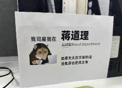 工位文学火爆小红书 打工人创意表达职场情绪