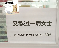 工位文学火爆小红书 打工人创意表达职场情绪