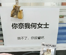 工位文学火爆小红书 打工人创意表达职场情绪