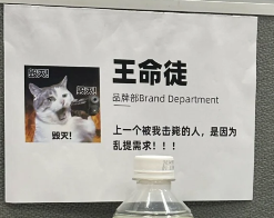 工位文学火爆小红书 打工人创意表达职场情绪