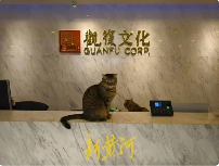 文化公司突发裁员80人引发劳动纠纷，员工质疑程序违法