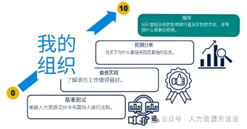 人力资源分析四阶段演进:从业绩比较到预测分析的完整指南 人力资源分析四阶段演进:从业绩比较到预测分析的完整指南