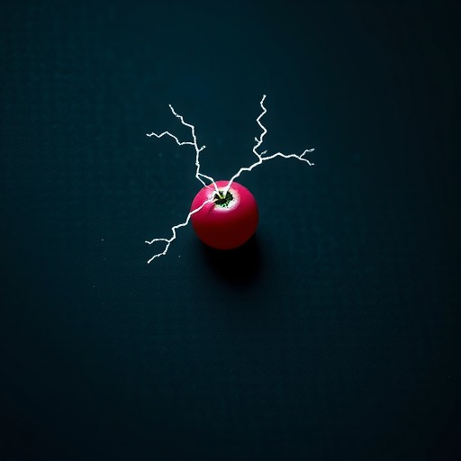 “拼豆”玩具电击事故的职场警示:产品安全与企业责任深度关联分析 “拼豆”玩具电击事故的职场警示:产品安全与企业责任深度关联分析