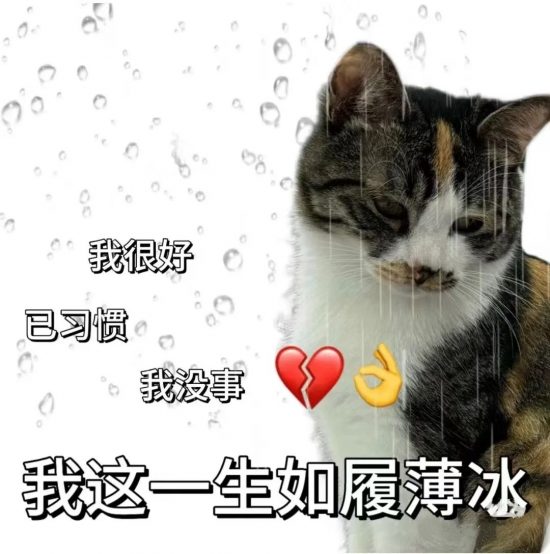 试用期遭遇辞退怎么办？转正赔偿全解析