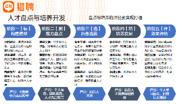提升人效的双优化路径：人才发展与组织变革并重