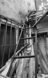 情绪价值引领消费新趋势