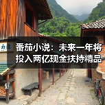 2025年平台投入2亿扶持IP生态,助力创作者增收 2025年平台投入2亿扶持IP生态,助力创作者增收