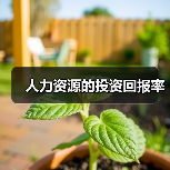 资金充足是人力资源战略成功的核心