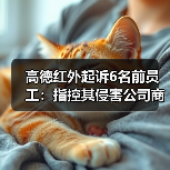 高德红外起诉珏芯公司及前员工商业秘密侵权索赔2亿 高德红外起诉珏芯公司及前员工商业秘密侵权索赔2亿