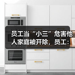 员工婚外情私生活侵权被公司解雇案评析