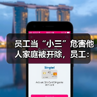 员工婚外情私生活侵权被公司解雇案评析