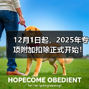 2025年度个税专项附加扣除确认指南及注意事项