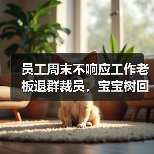 员工周末不响应工作老板退群裁员，宝宝树回应