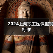 2024上海职工医保报销标准