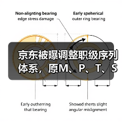 京东被曝调整职级序列体系，原M、P、T、S合并为新的专业主序列P