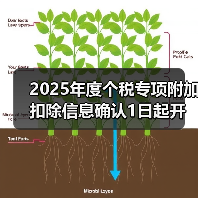 2025年度个税专项附加扣除信息确认1日起开始 2025年度个税专项附加扣除信息确认1日起开始