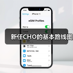 新任CHO的基本路线图 新任CHO的基本路线图