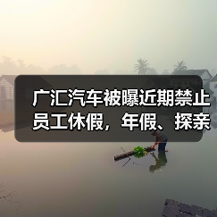 广汇汽车被曝近期禁止员工休假，年假、探亲假、事假均不批