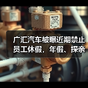 广汇汽车被曝近期禁止员工休假，年假、探亲假、事假均不批