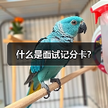 什么是面试记分卡? 什么是面试记分卡?