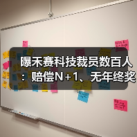 曝禾赛科技裁员数百人：赔偿N+1、无年终奖