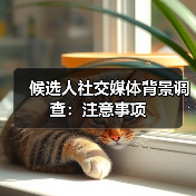 候选人社交媒体背景调查：注意事项