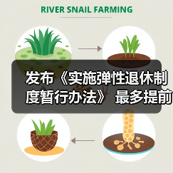 弹性退休政策新规解读：自愿选择与权益保障