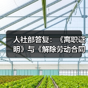 离职证明与解除劳动合同证明能否互替 离职证明与解除劳动合同证明能否互替
