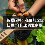 智联招聘：在目前企业任职3年以上的北京职场人超过半数