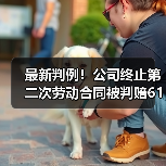 最新判例！公司终止第二次劳动合同被判赔61万（二审判决）