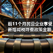 前11个月民营企业享受新增减税降费政策金额占比超70%