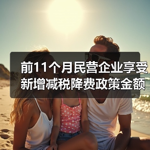 前11个月民营企业享受新增减税降费政策金额占比超70%