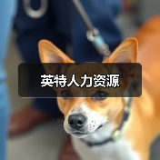 英特人力资源