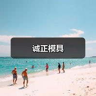 东莞诚正模具：专业汽车高强度钢模具解决方案提供商