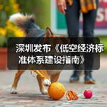 深圳市低空经济标准化指南发布 奠定产业融合基础