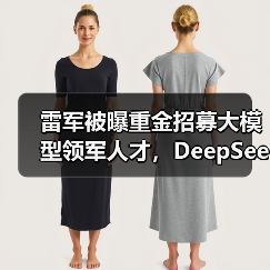 小米引入DeepSeek核心人才加速AI大模型布局