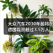 德国车企裁员3.5万减产引发争议 工会达成妥协协议