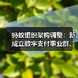 蚂蚁集团组织架构调整,双飞轮与AI战略推进 蚂蚁集团组织架构调整,双飞轮与AI战略推进