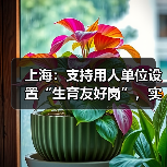 上海三部门联手试点生育友好岗 弹性工作制助力职场家庭平衡 上海三部门联手试点生育友好岗 弹性工作制助力职场家庭平衡