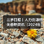 胖东来员工福利政策解读及行业动态分析