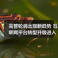 高管轮调出现新趋势 互联网平台转型升级进入关键期