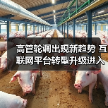 高管轮调出现新趋势 互联网平台转型升级进入关键期